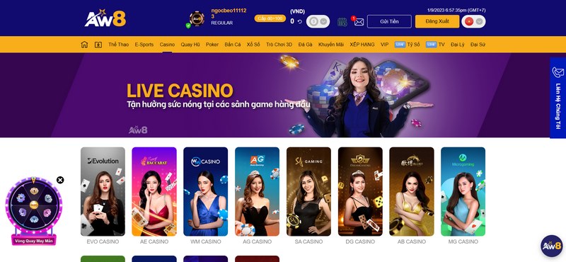 Một người chơi không thể đăng ký nhiều tài khoản game cùng lúc