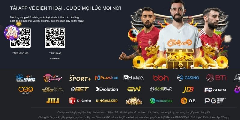 Quá trình hình thành và phát triển của 88M